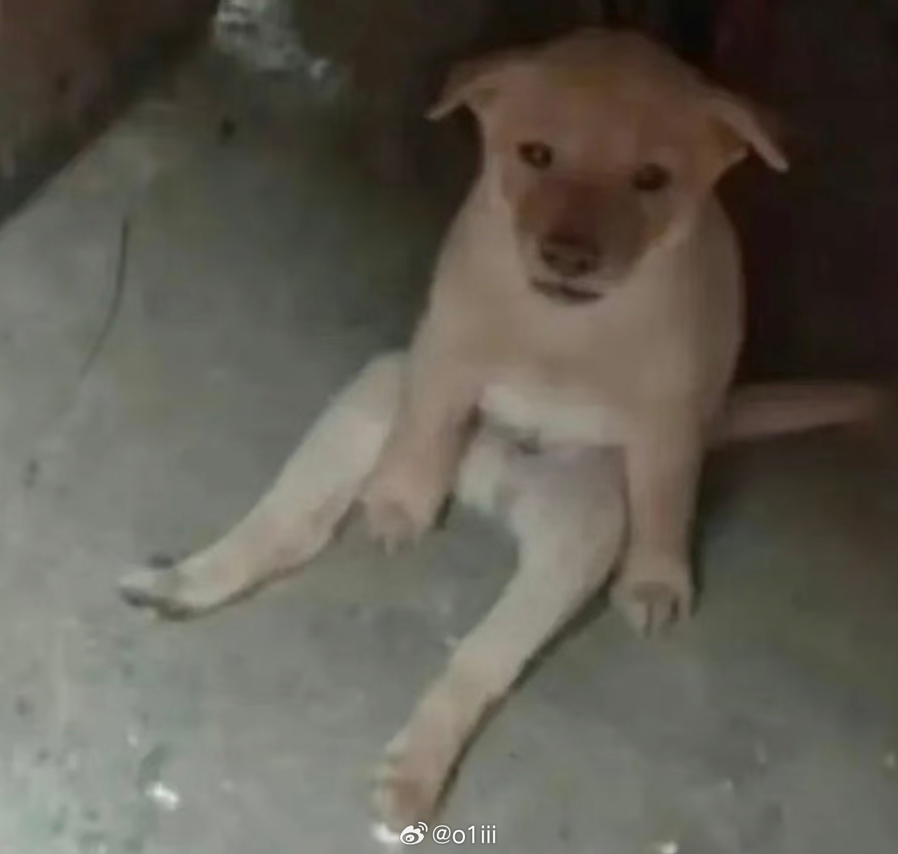 你们会不会有那种见到一个人就预感到之后绝对会跟ta产生故事的感觉？明明什么都还没