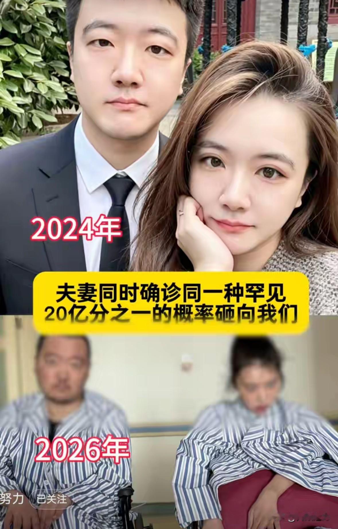 养宠物居然会得病？而且还是“罕见概率为20亿分之一的病例”，真是闻所未闻，也是见
