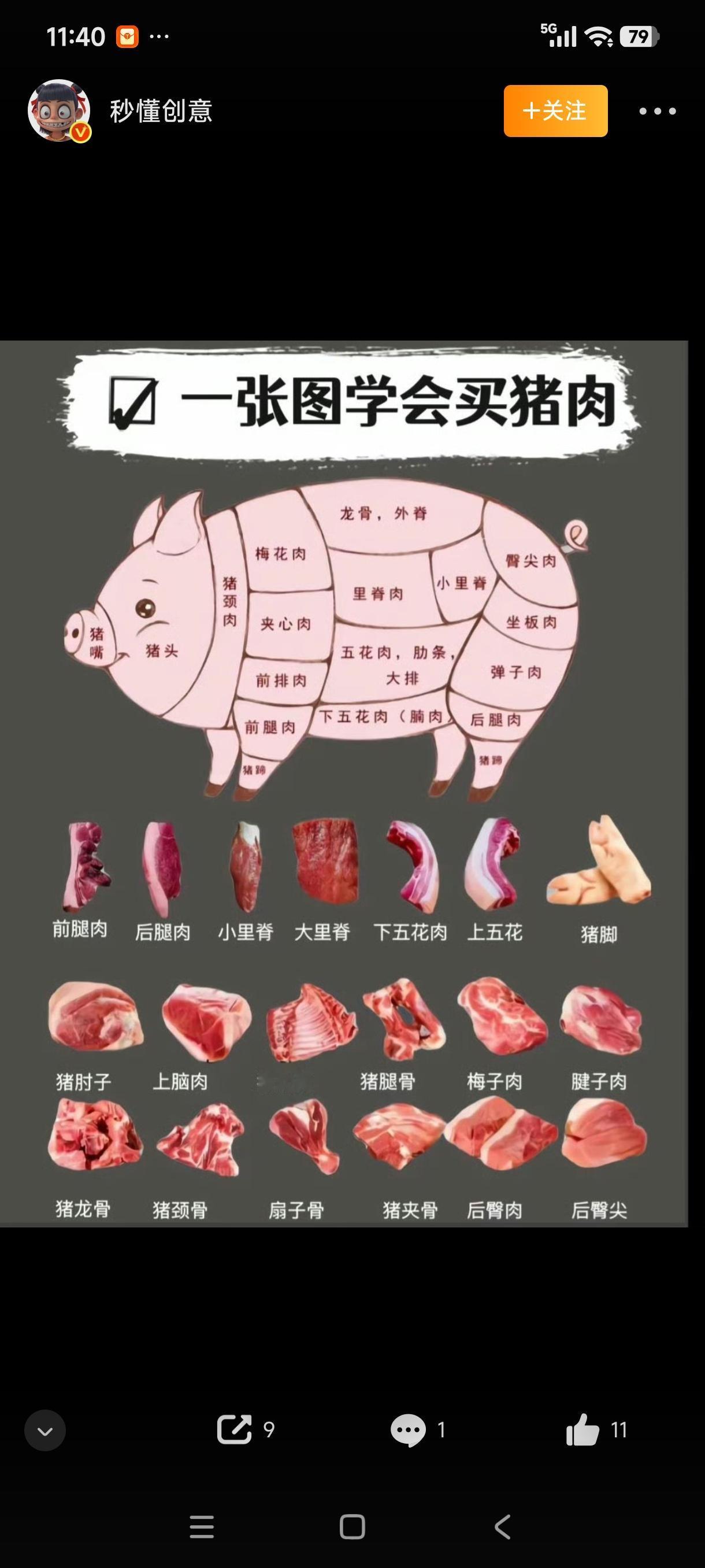 一张图学会猪的个个部位猪仙美味