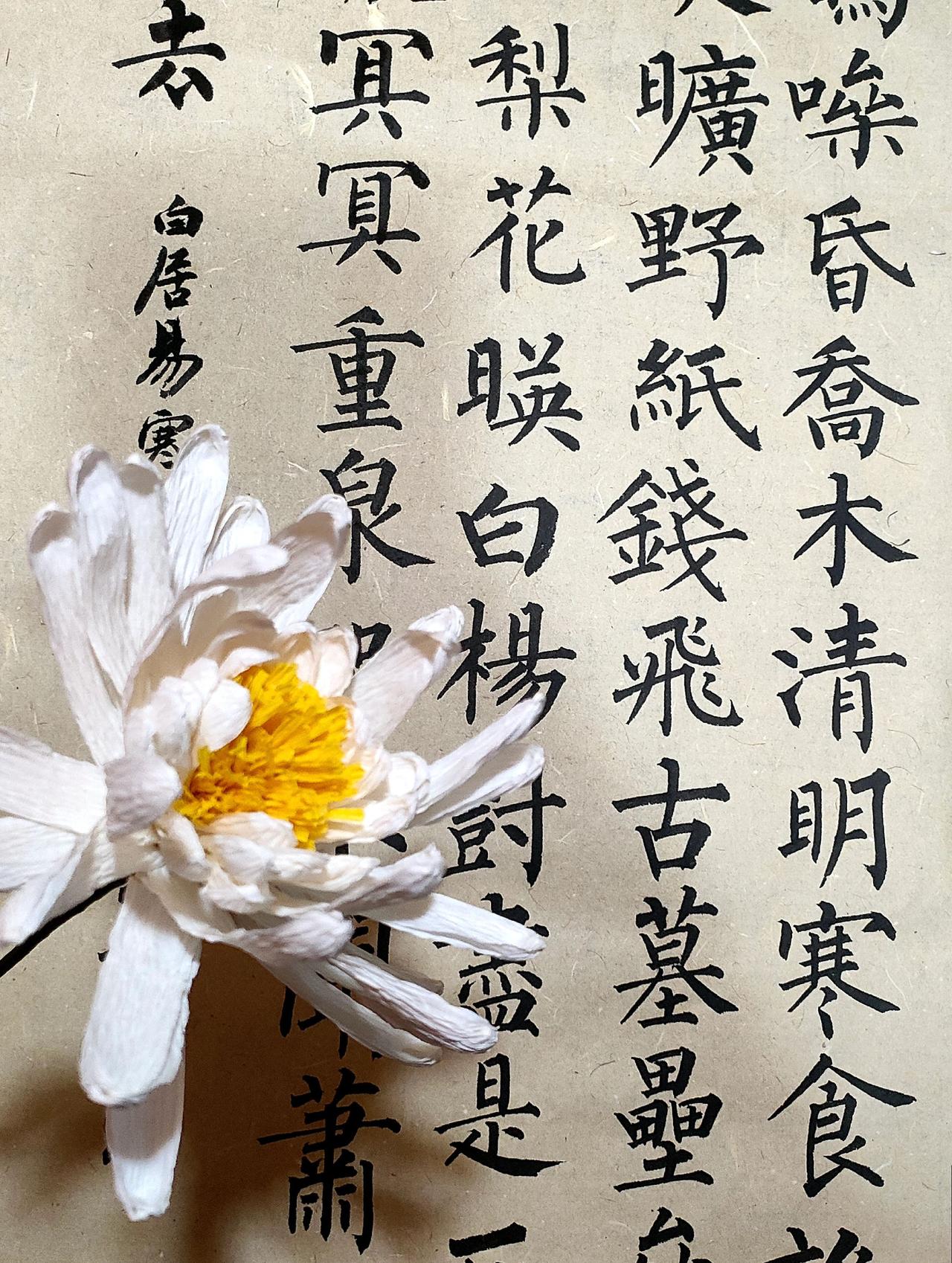 笑着说再见，转过身说抱歉，你听不听得见…清明节 思念父亲 思念亲人 清明寄哀思