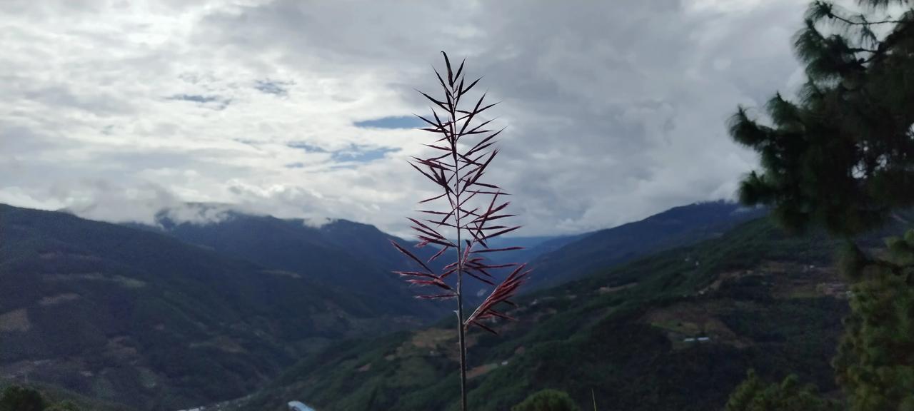 我十几万元的年收入都不见了，能报案吗？
今年年初干旱，所幸后来雨水丰沛，玉米喜获