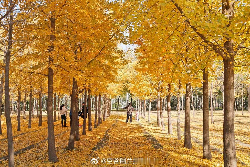  古塔公园位于北京市朝阳区东南王四营，因园内有一座始建于1538年的明代十方诸佛