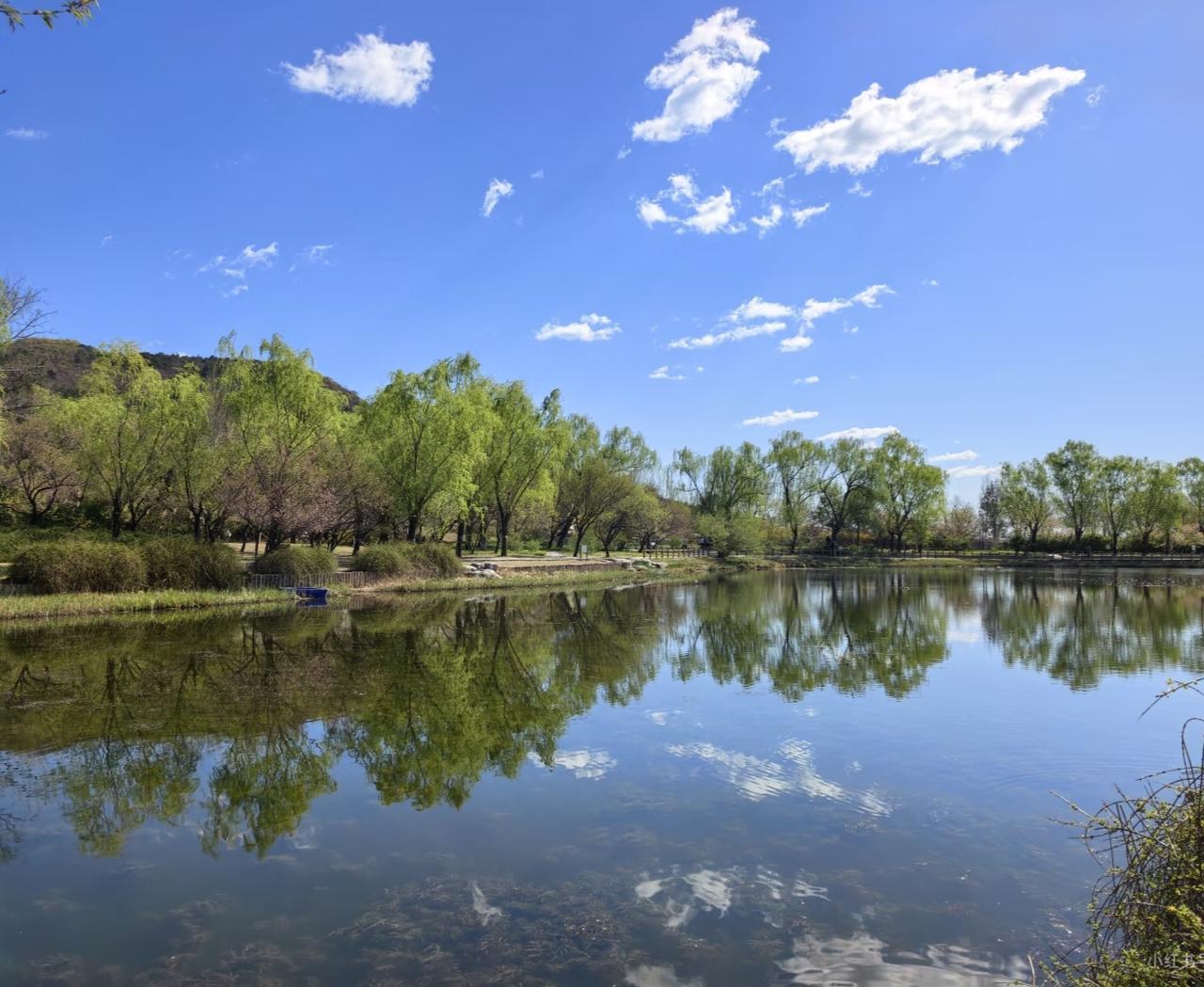 晒图大赛风景如画