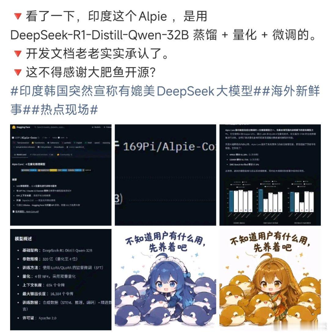 印度Alpie 套壳DeepSeek印度都举国沸腾了，你说这个？