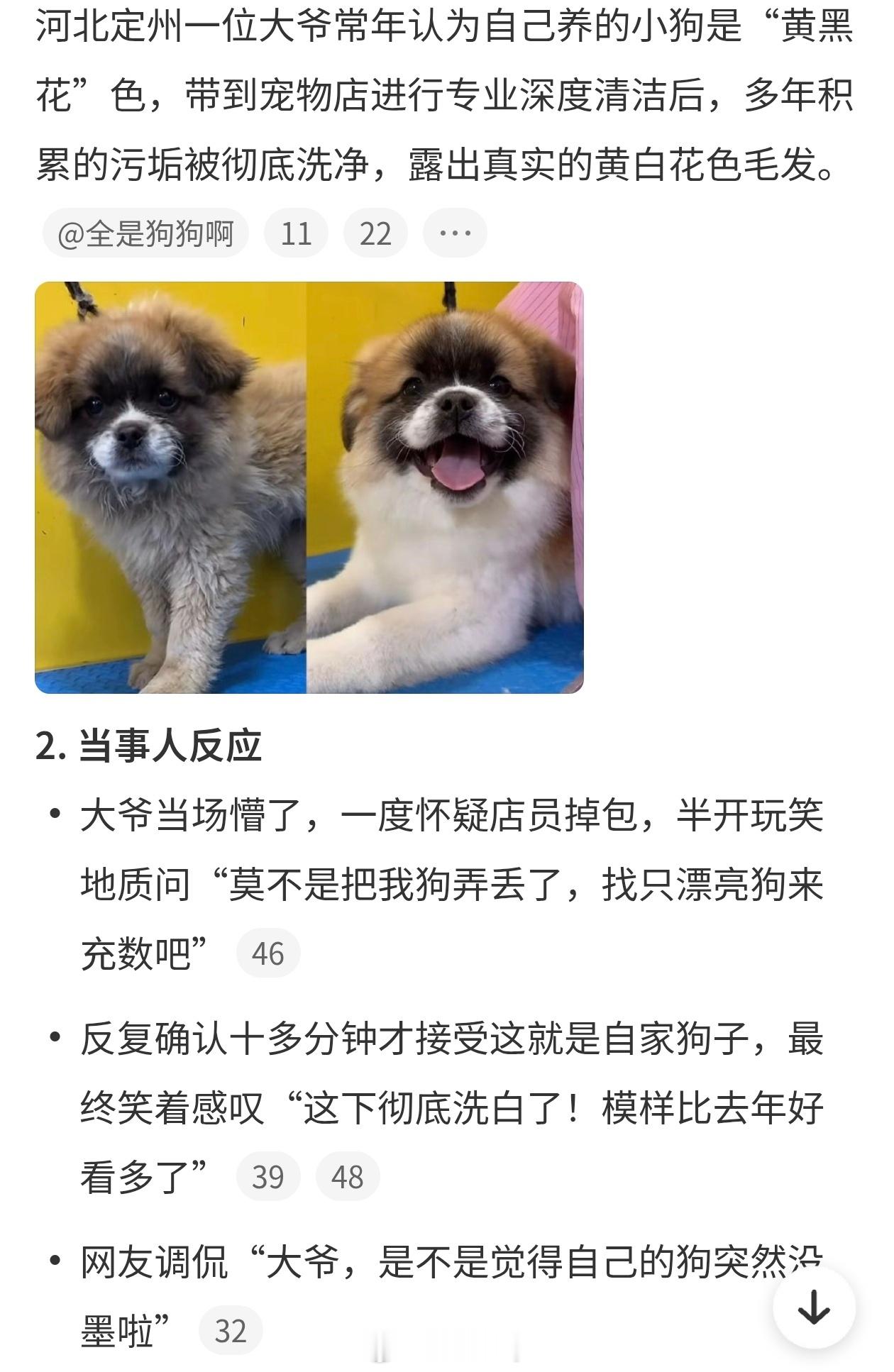 狗狗洗澡洗得太干净主人不敢认直接从黑狗变白狗了，这洗澡效果还挺好的。养宠物得负责