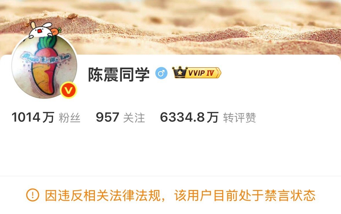 陈震被全网禁言了不想说些幸灾乐祸的话，只能说做自媒体的，大家都需要管好自己的言行