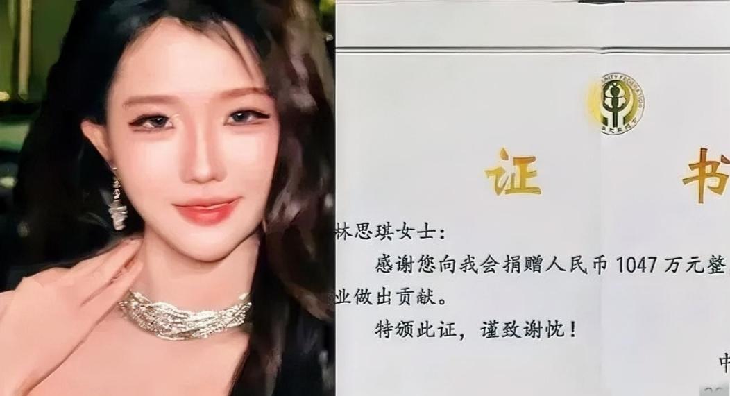 1047万捐款大反转！网红林思琪高调做公益，自己仅出资47万，引全网热议。

5