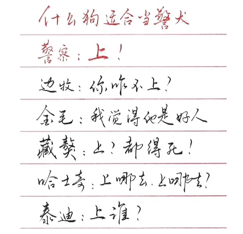 什么狗适合当警犬？
👮叔叔命令：上
边牧：你咋不上？
金毛：我觉得他是好人！