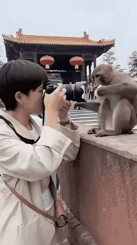 猴：说我精？那可不！这波“抢镜王炸”操作，拿捏了[捂脸]