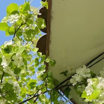 0000路远未必难行，心定便可从容。人生就像登山，不在于一步登顶，而在于是否能咬