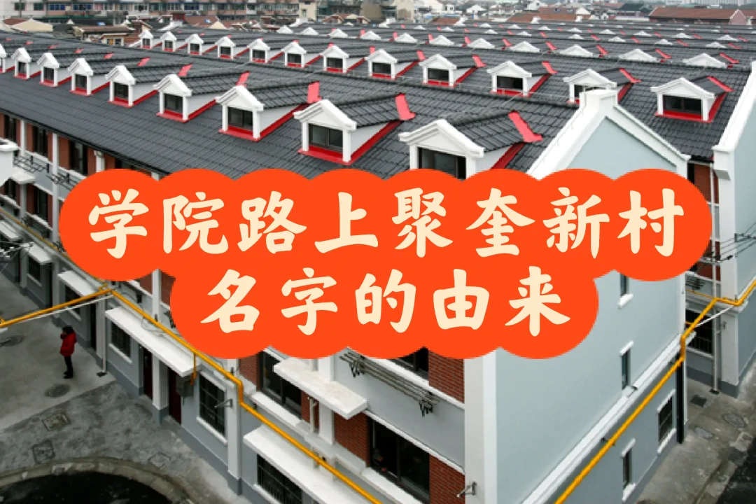 聚奎新村当年的人挺会取名字的