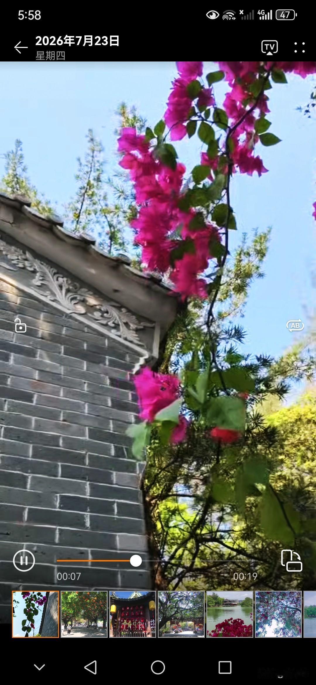 沈巍走红，谁是“伯乐”人们对底层和生活不如意者同情和怜悯才是沈巍的伯乐。他之所以