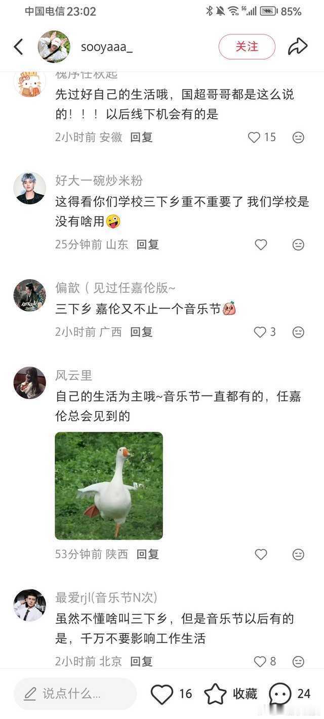 什么叫拥有健康三观粉圈，都来看看任嘉伦的粉圈！粉丝犹豫三下乡还是去音乐节，嘉人姐