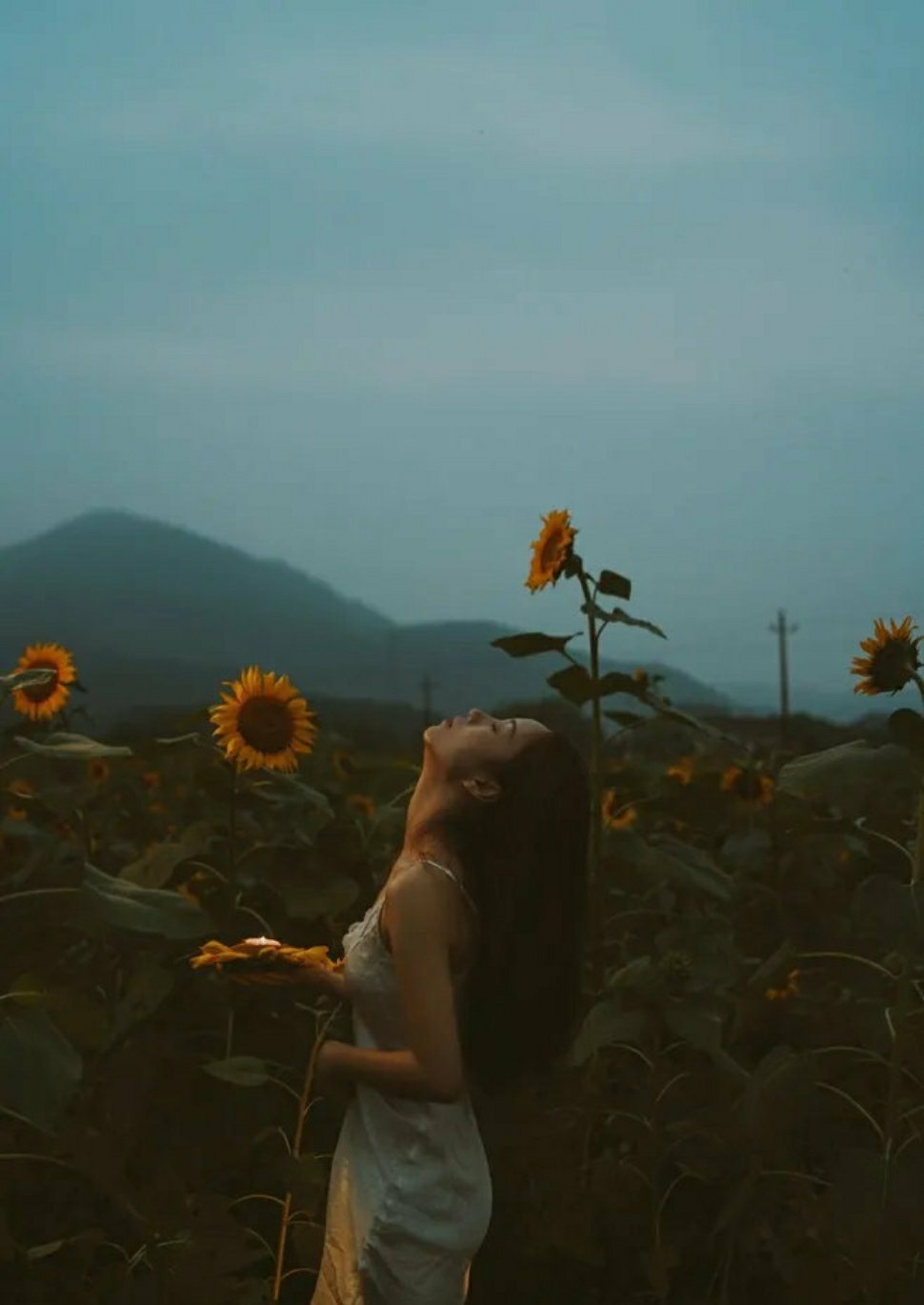 一个人越不需要和别人打交道，那么他的处境就越好。因为孤独是幸福、安乐的源泉，只有