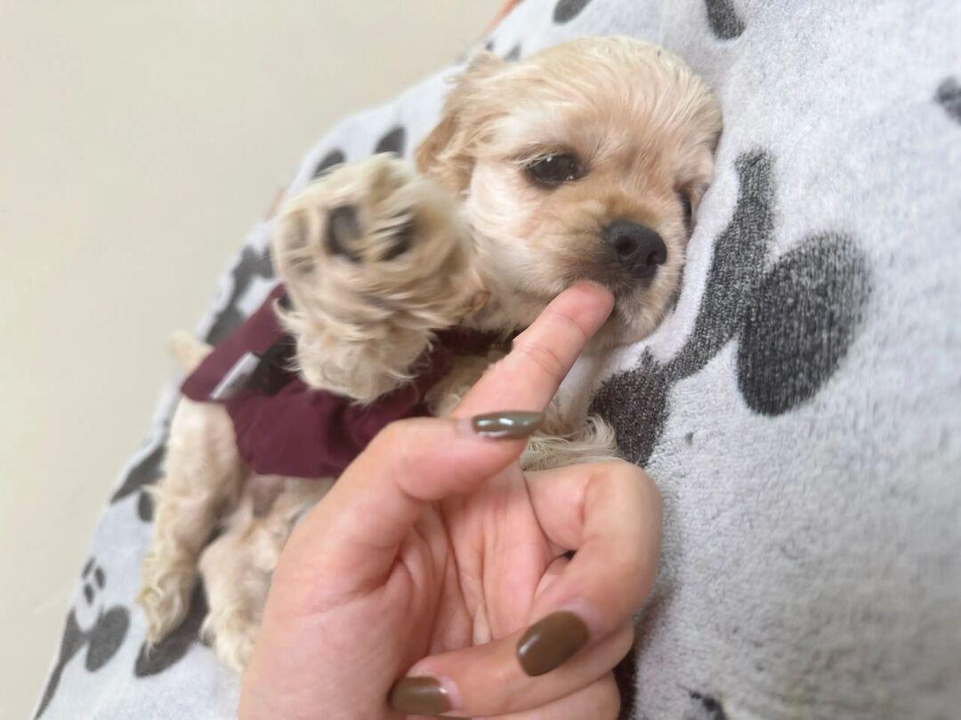 这个睫毛我幕了