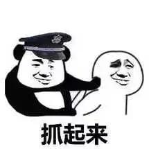立即启动《反分裂法》抓起来审判！