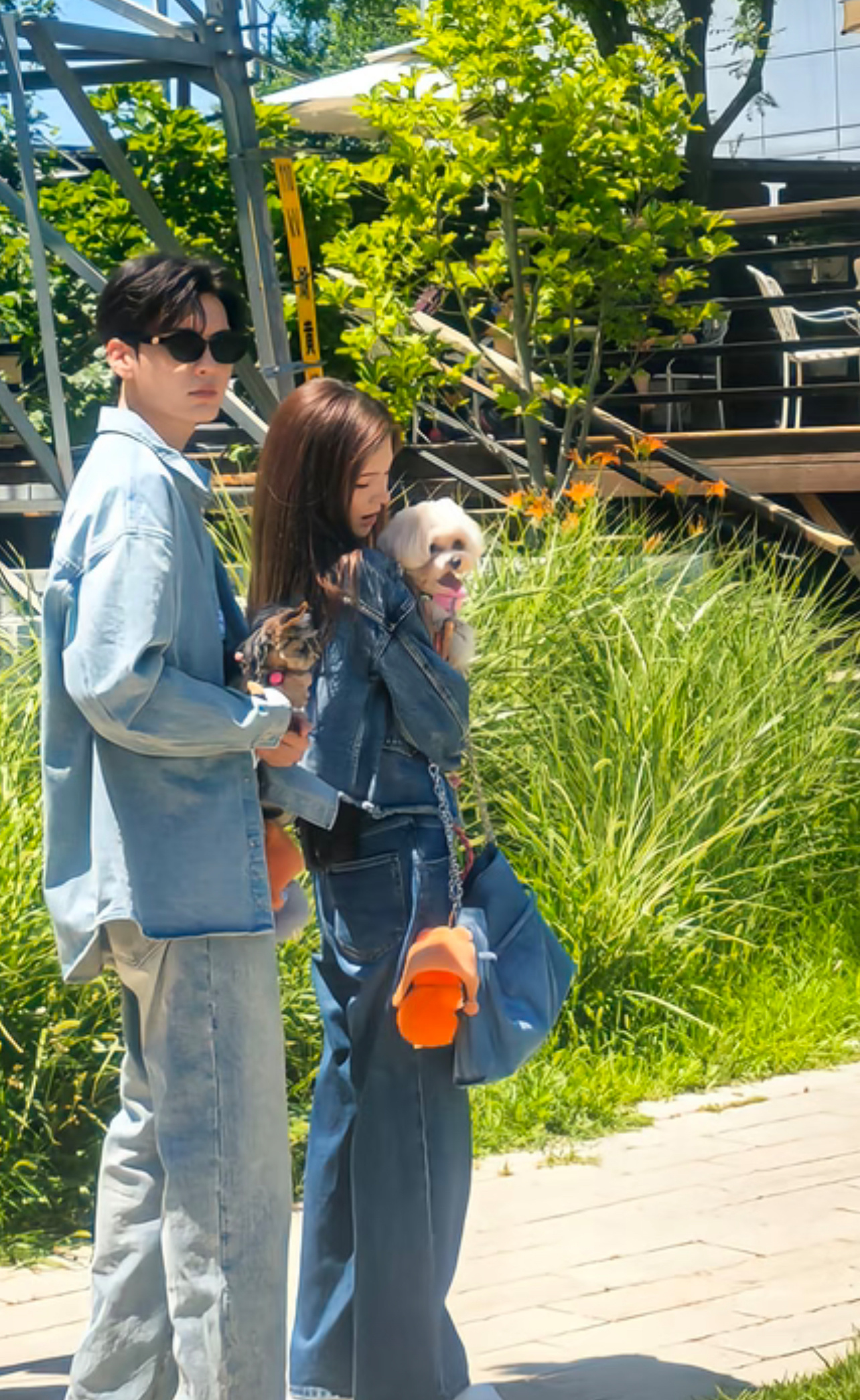 无予伦毕  💛无予伦毕 替无予伦毕接了 