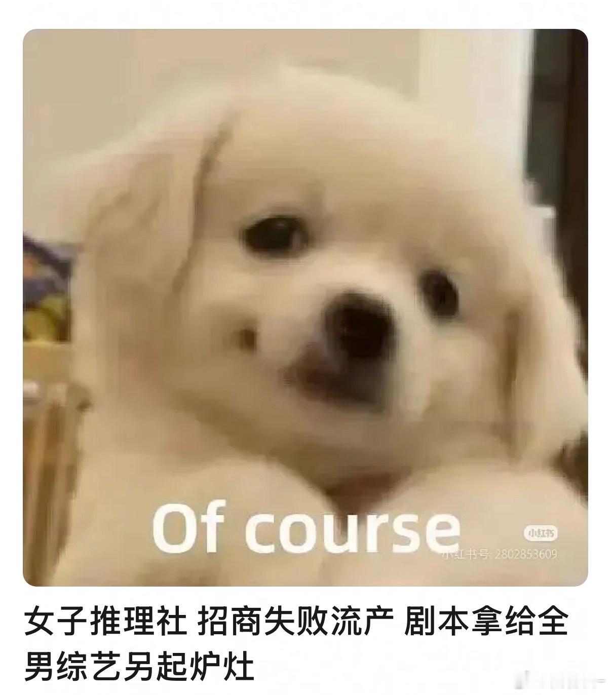 真的假的啊女子推理社流产了……补药啊我一直在等这个女推