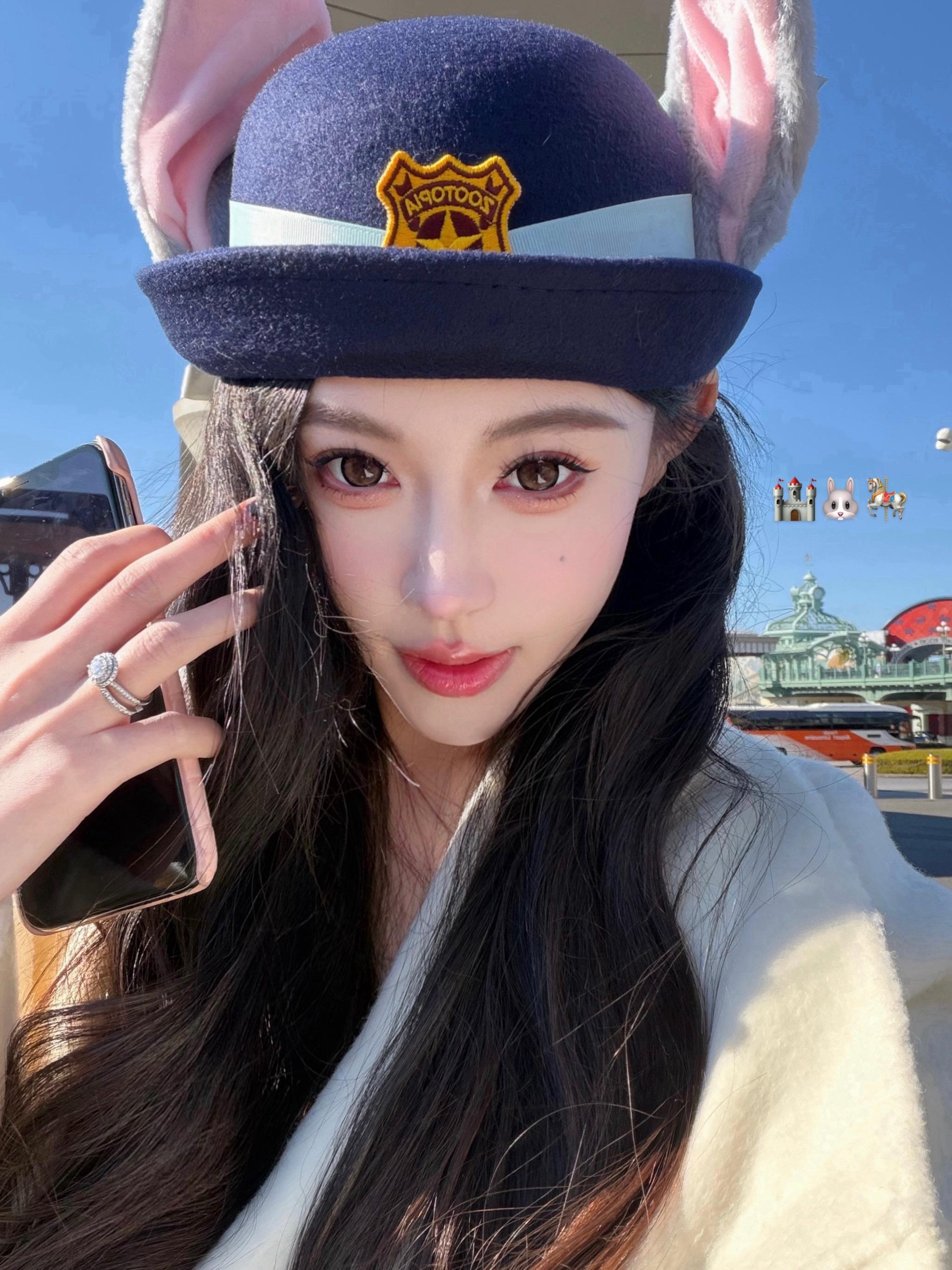 ՞ 🐈‍⬛‧₊ TokyoDisney