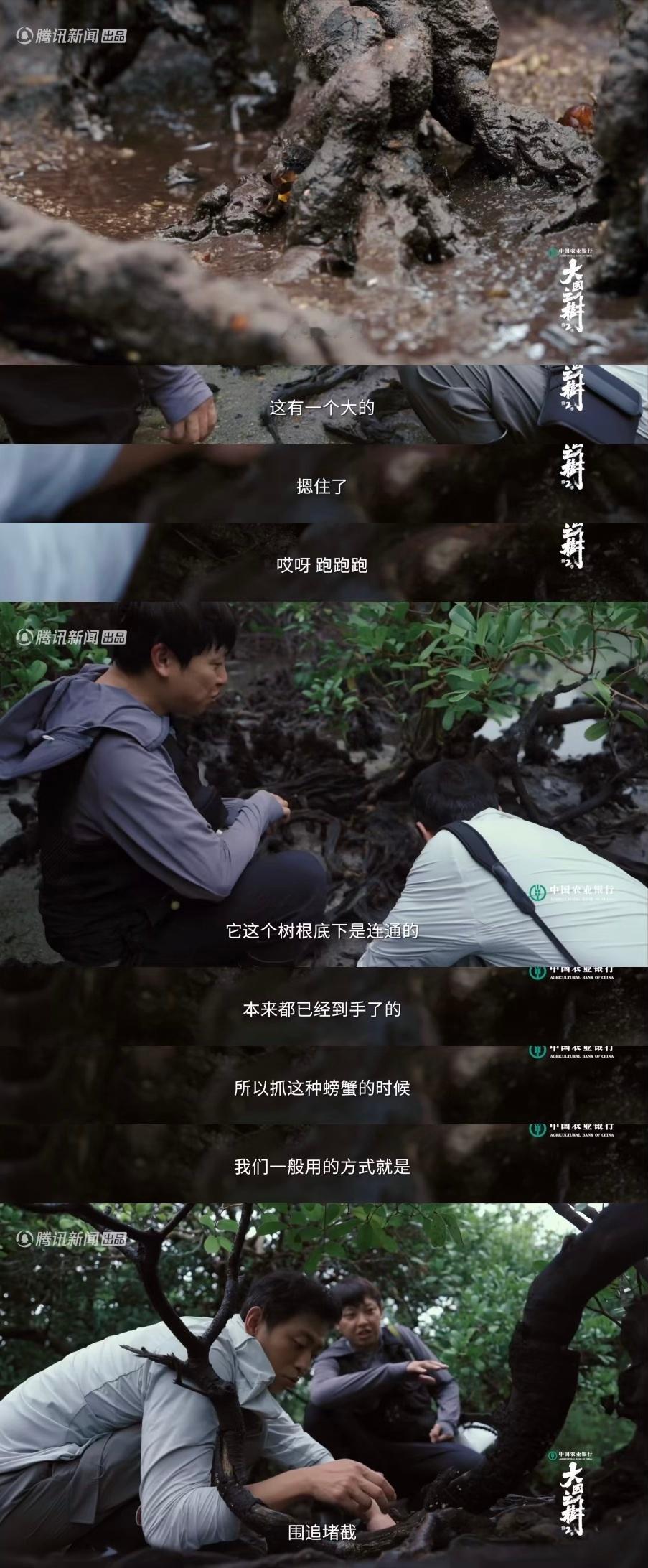 水哥说螃蟹长在自己的审美点上  e人水哥遇到i螃蟹  原来水哥是e人啊！本来以为