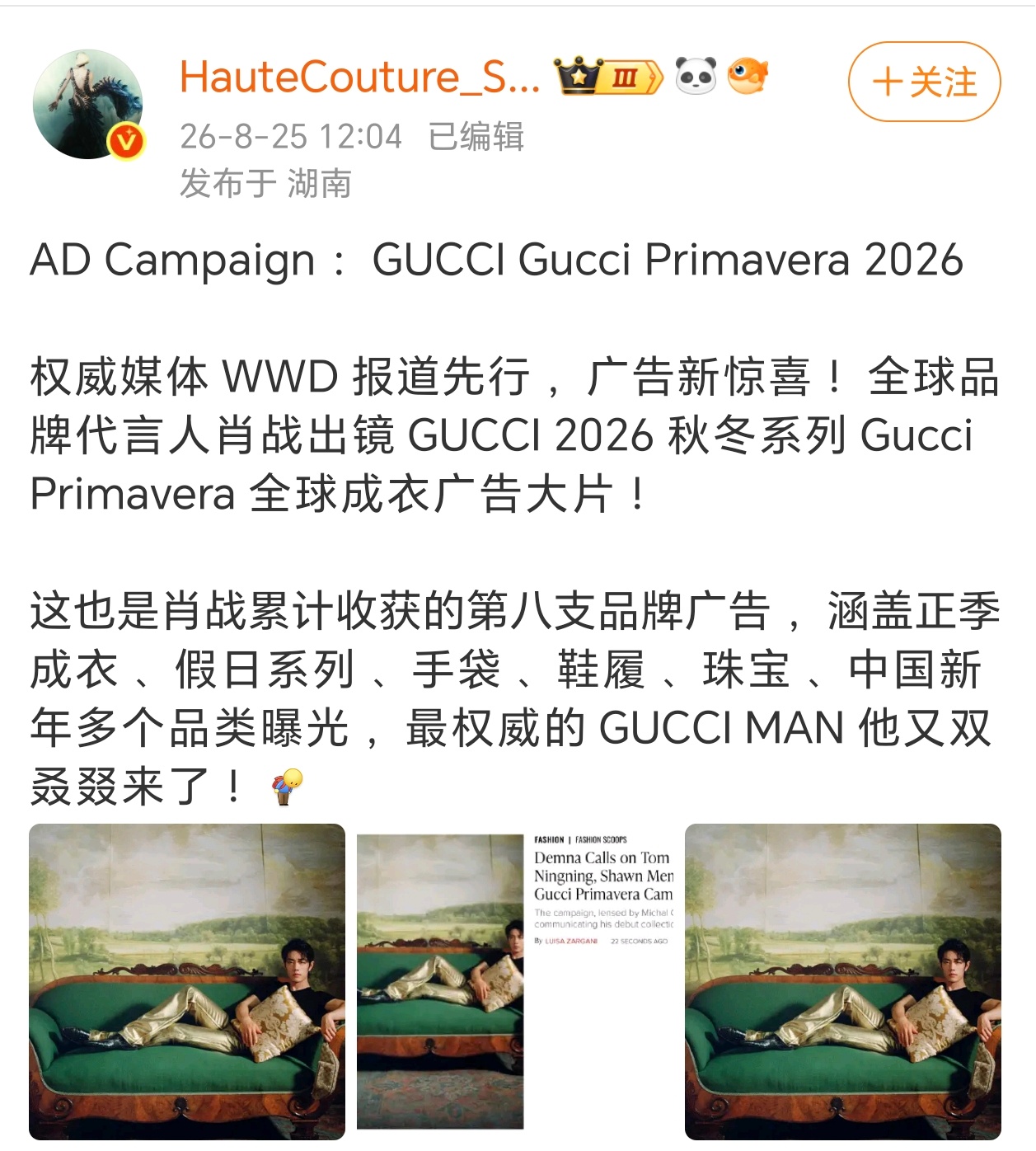 WWD封面首图，Demna时代首支全球成衣广告，第八支Gucci广告。这几个词条
