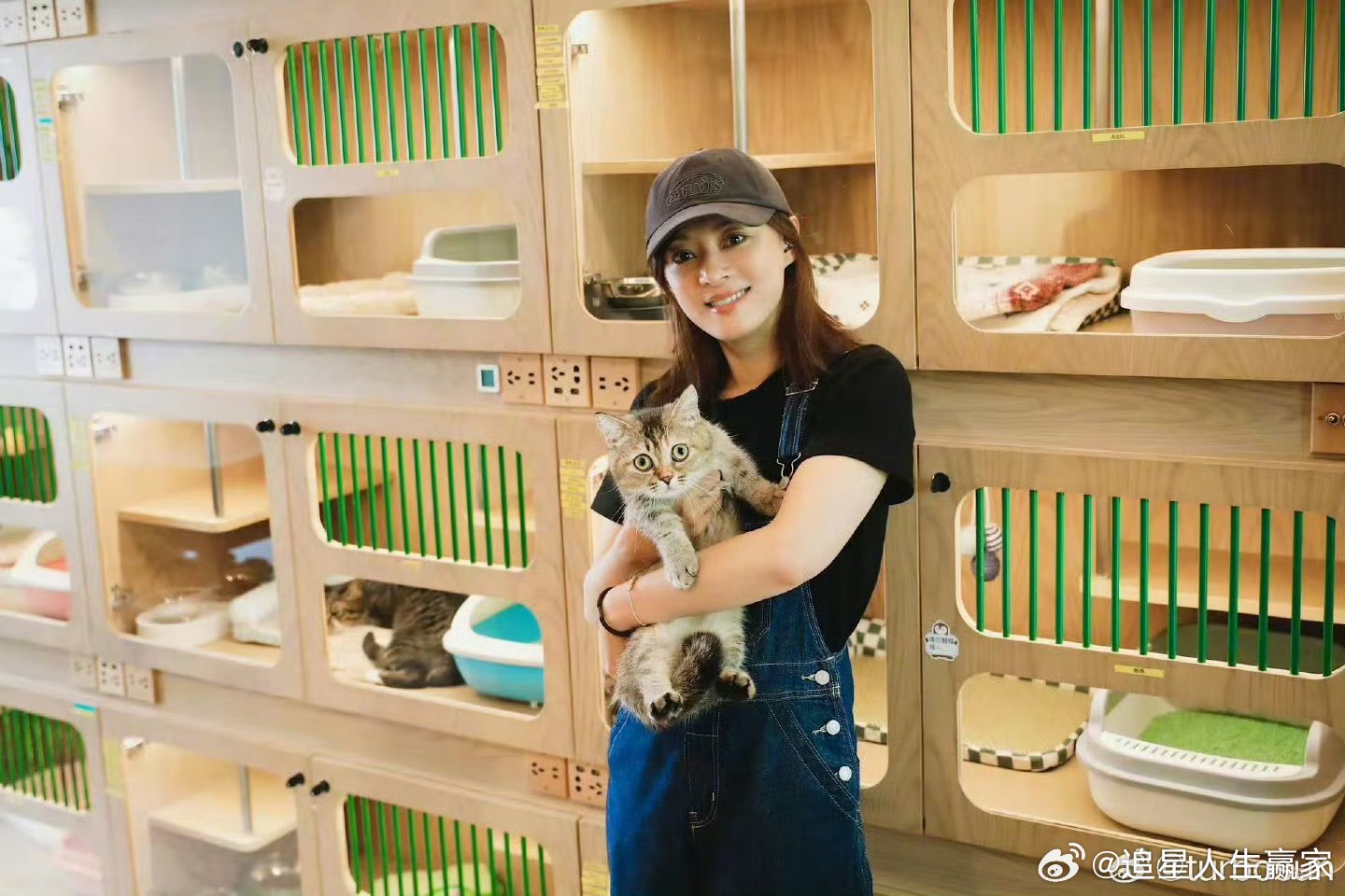 孙俪在菜市场捡到了一只2、3岁大的狗🐶，并给新成员取名叫九菜，因为是9号在菜市