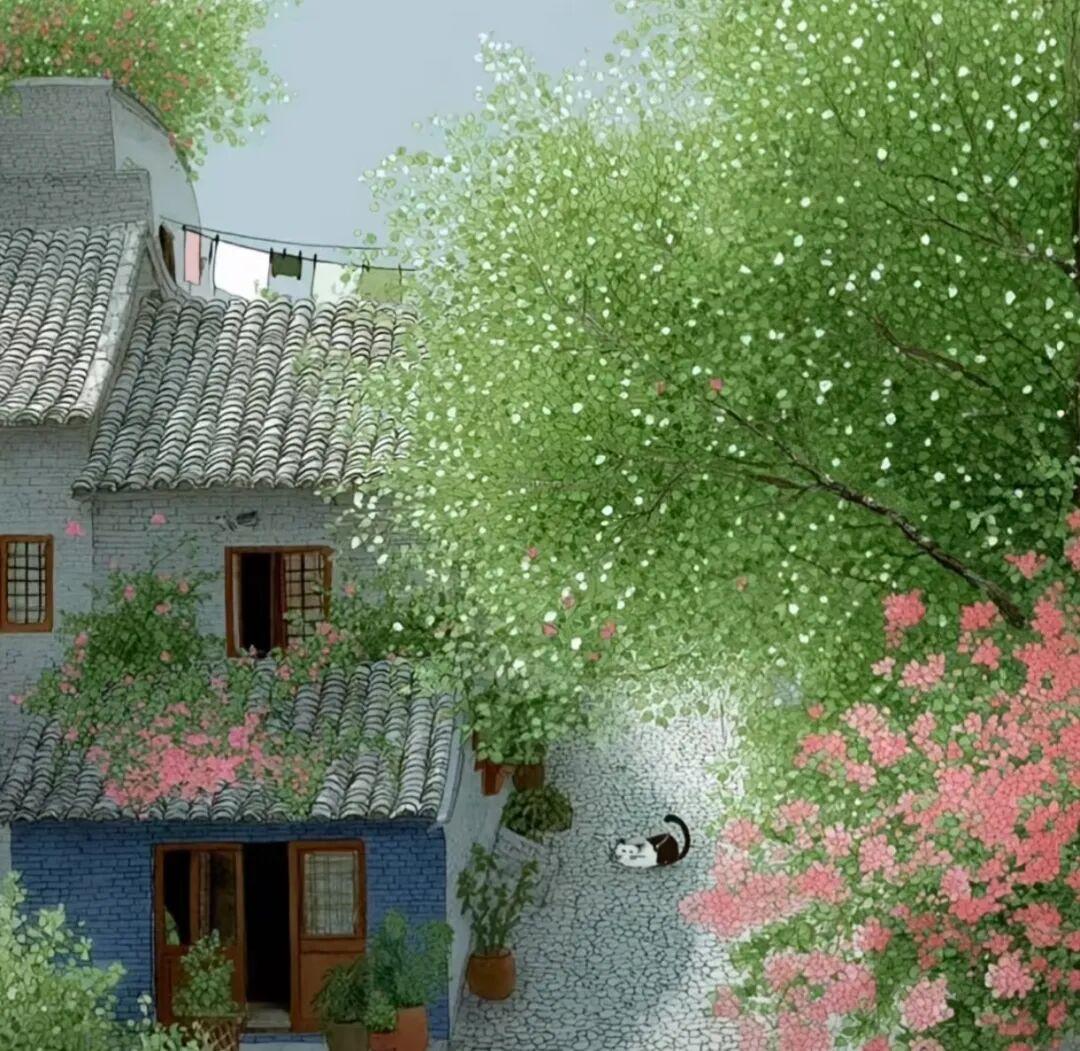 随手拍美丽的花