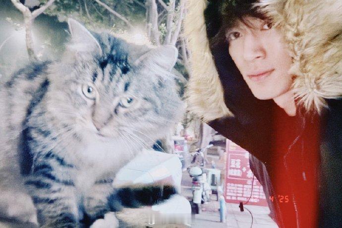 王星越难得的休息日 王星越和小猫合照 喵好王星越也好 