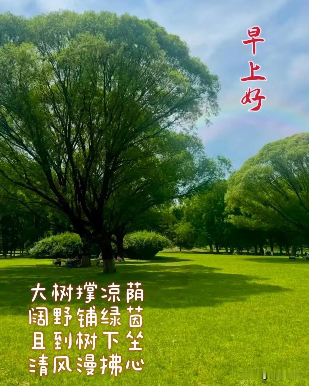 清晨的阳光是新的希望，不必焦虑，踏实走好当下，一切都会越来越好。