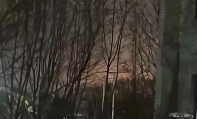 乌克兰摧毁克里米亚俄军油罐车！俄最大梁赞炼油厂起火

来源:作家项鹏飞

时隔不