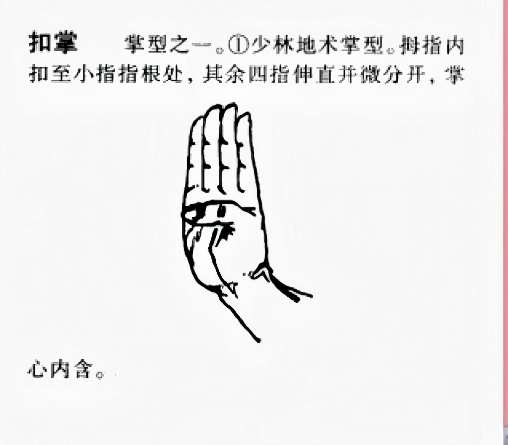 少林地术掌（拳）中讲扣掌：“掌”是拇指内扣至小拇指根处，其余四指伸直并微分开，掌