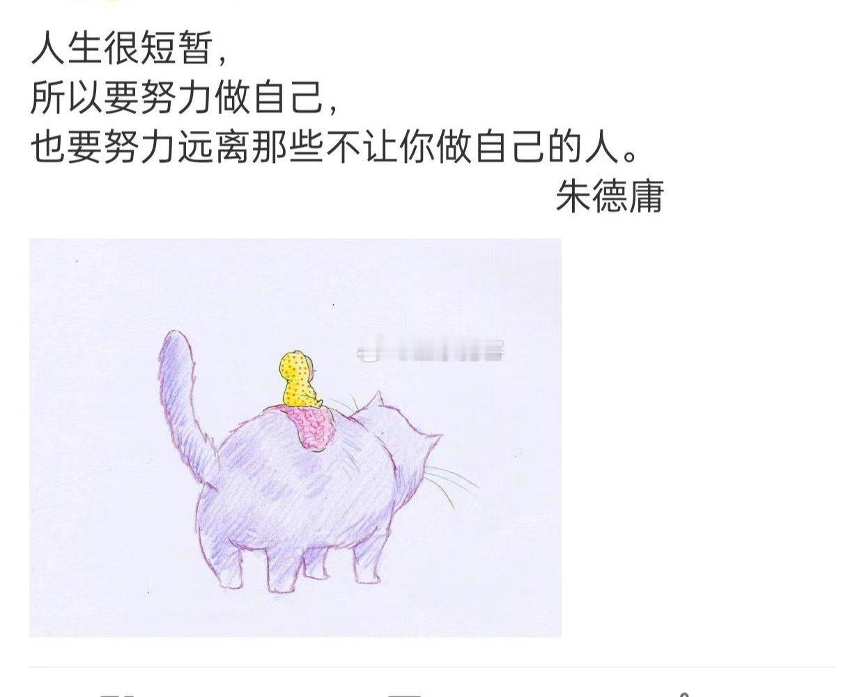 人生很短暂，所以要努力做自己，也要努力远离那些不让你做自己的人。 ​​​