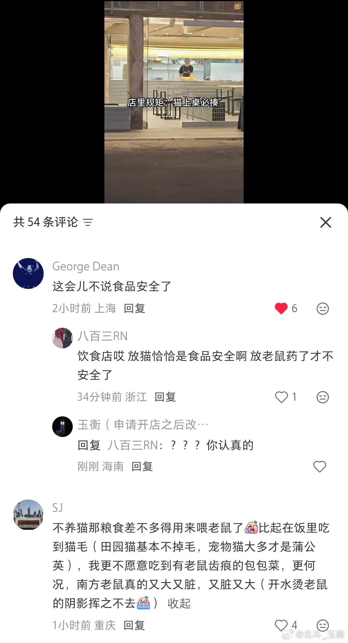 小红书真是个神奇的平台不光有人该说的不该说的都乱说还有人……专挑养猫的店去……哎