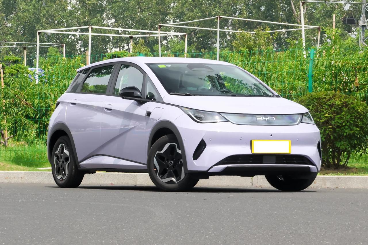 如果只看比亚迪海豚的外观，会觉得这车空间肯定小，但当我真正做到后排的时候，却给我