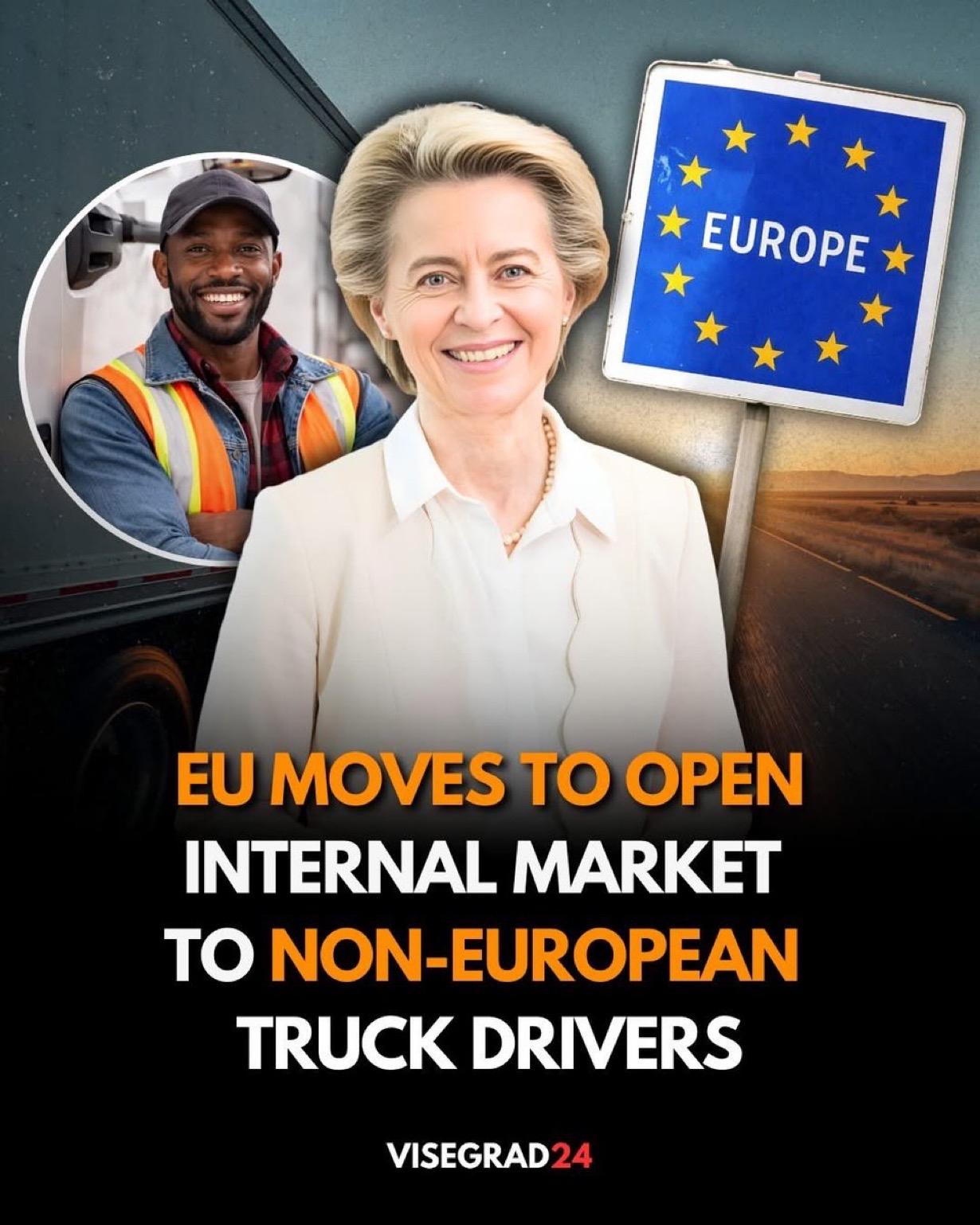 欧盟正逐步向非欧洲卡车司机开放内部市场。

预计他们主要将从埃及、孟加拉国、巴基