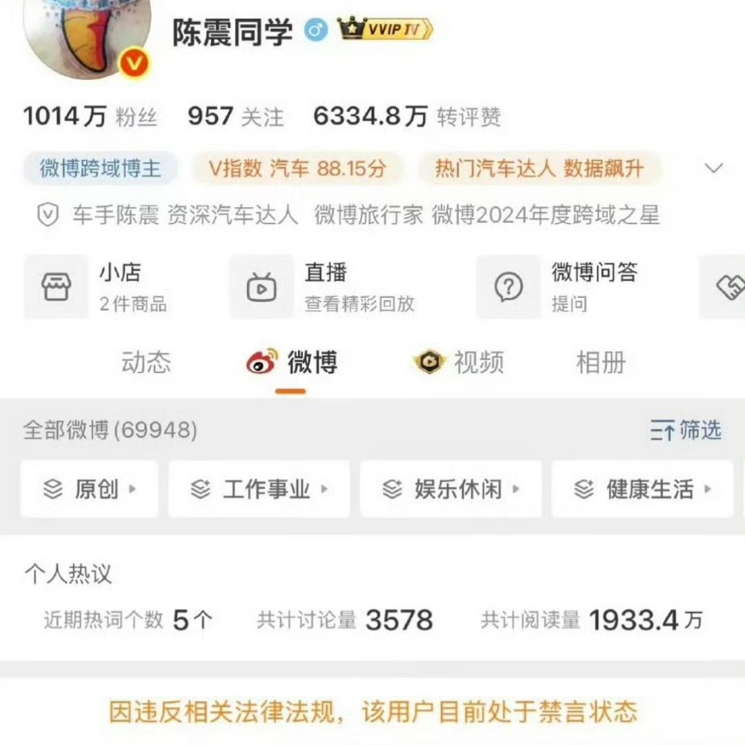 陈震在微博、抖音、小红书、B站被全面禁言。

其实这些网红都不应该被吹捧，他们不