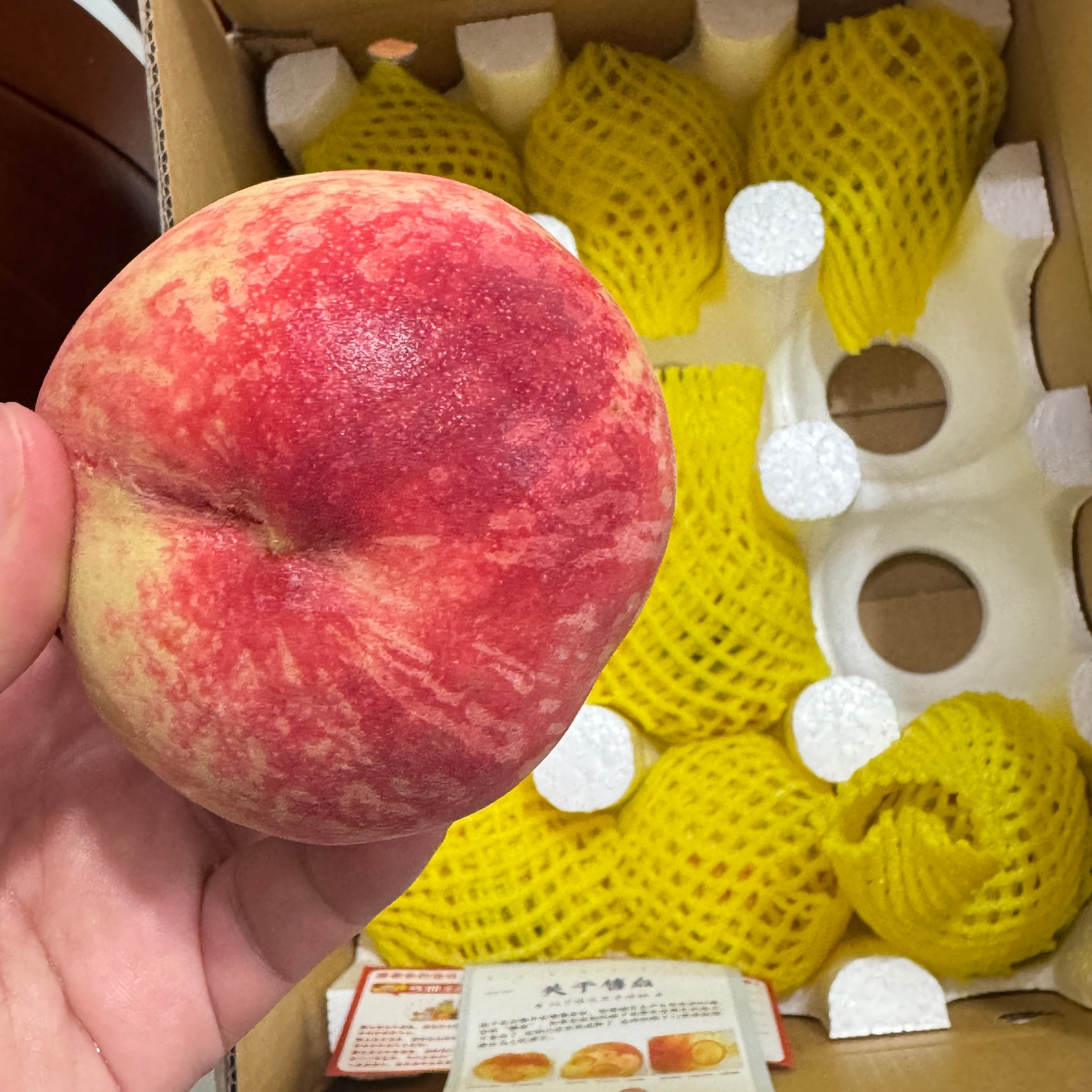 端午我抽个奖！！！ 评论里抽个铁粉宝宝 送香瓜🍈or水蜜桃🍑一箱 （可自选 