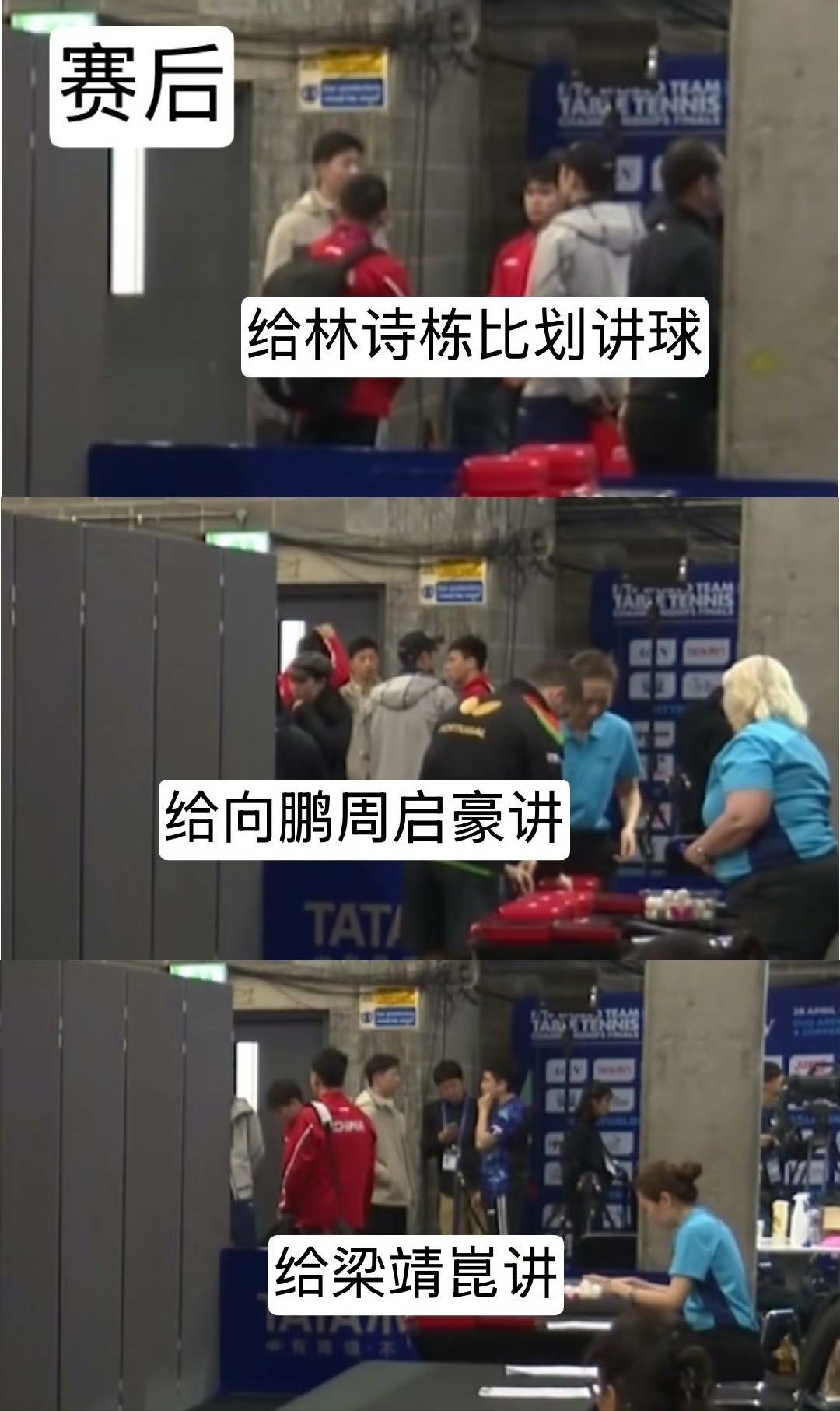 马龙观赛从沙发到看台 去给央视解说的闫安说的也是投诉的是没有vip证的陪练，马龙