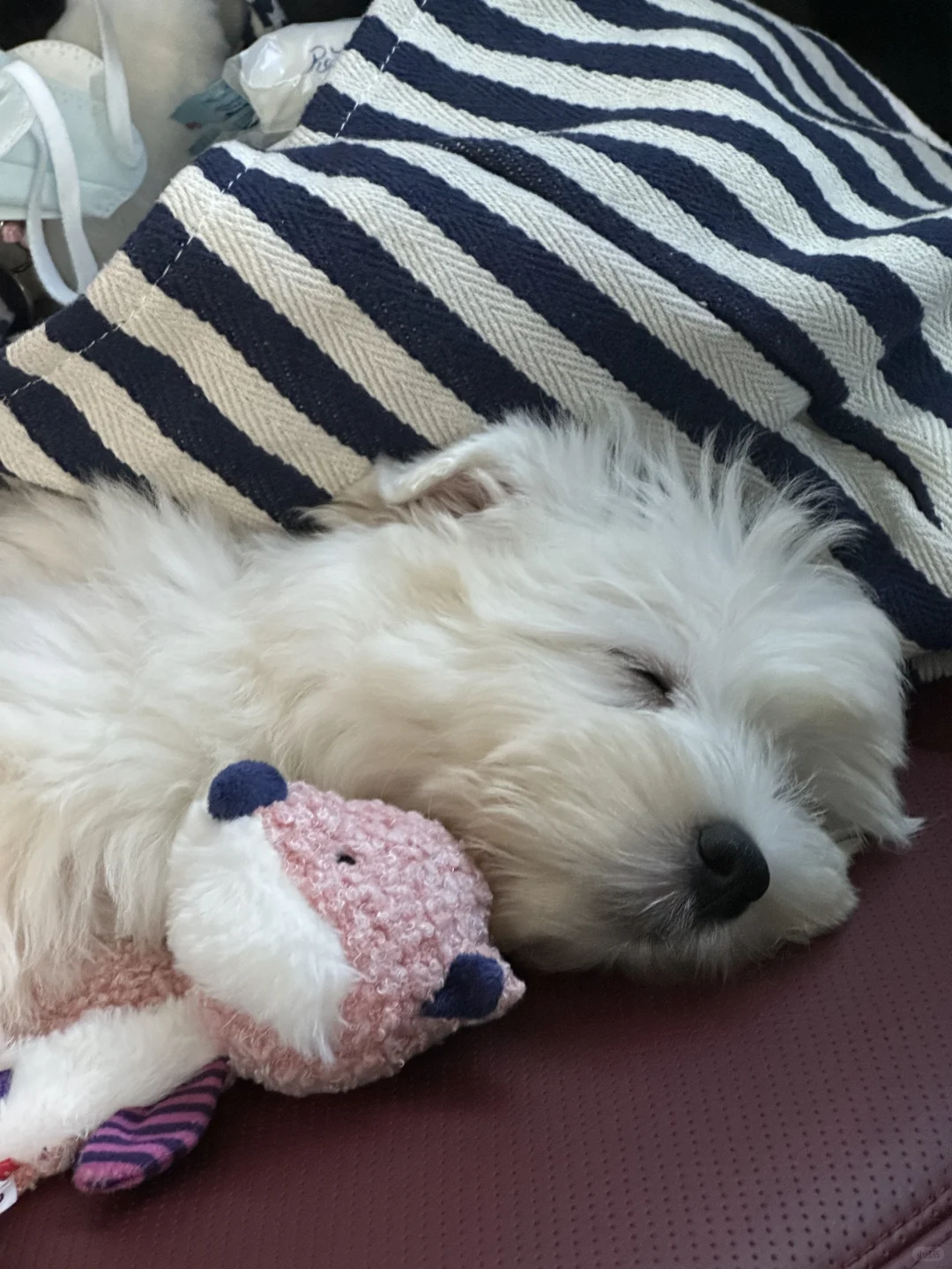 这么可爱的宝宝我有两个👶🏻