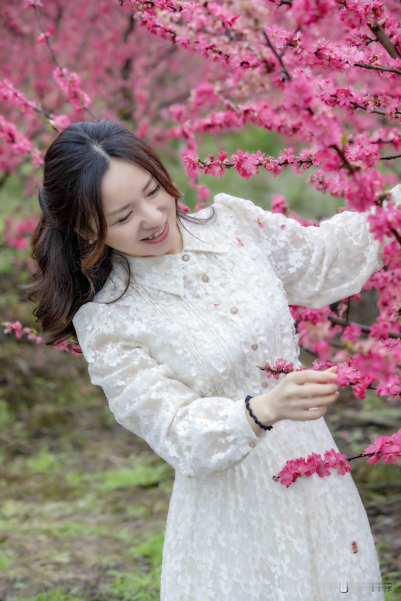 鲜花盛开