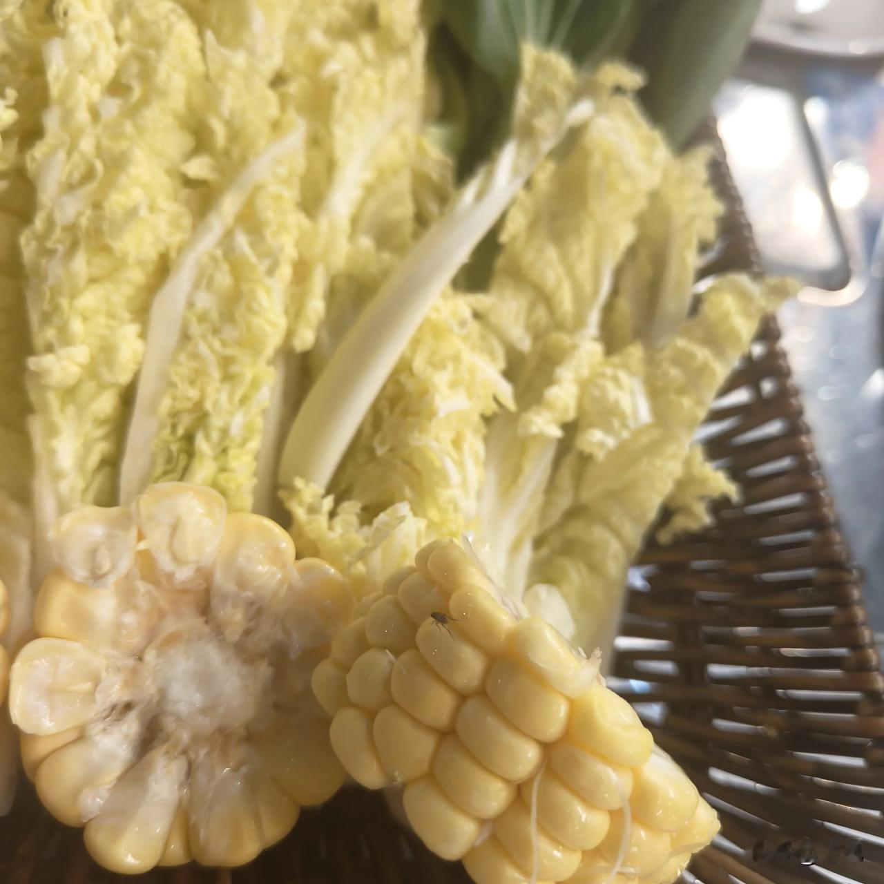 在合肥欧风街洪兴饭店吃饭，汤菜上居然有虫子在爬，还好服务员及时给换了一份！