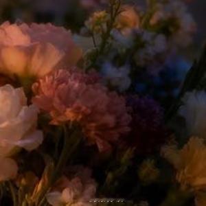 晚安心语 把一天的疲惫轻轻放下，和烦恼说声再见。夜色温柔，星星也在眨眼，愿你带着