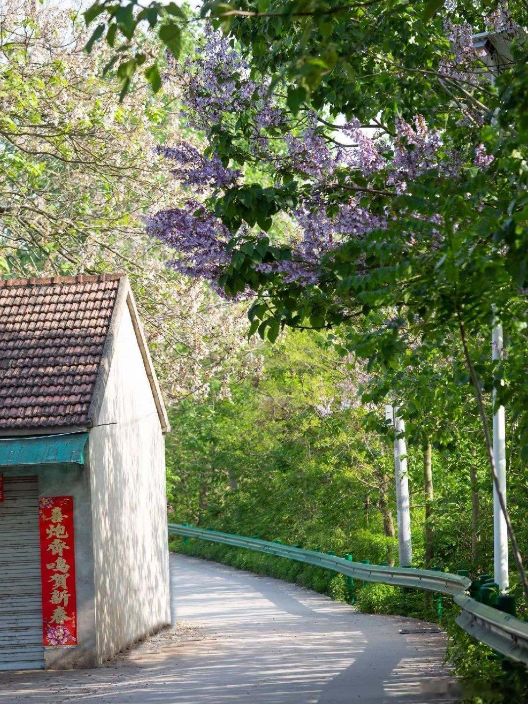 随手拍 春天里，用景色来缓解拍照的疲惫，效果甚佳用眼睛寻找美丽江南天天拍江南手影