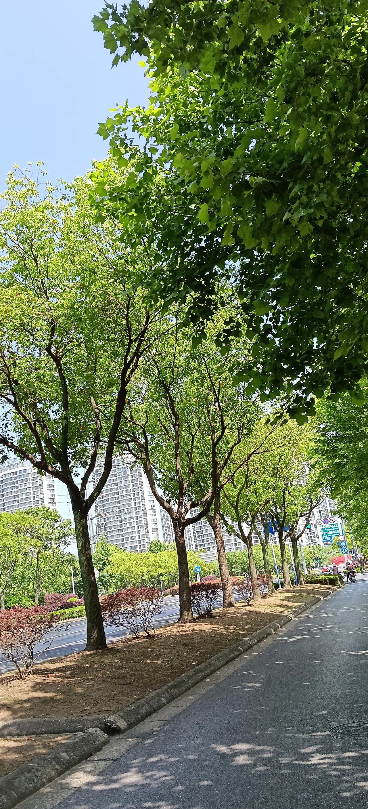 今天南通天气很好，心情好