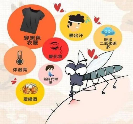 夏天被蚊子咬得怀疑人生的我，今天终于找到“病根”了！以前一直以为是自己血型的锅，