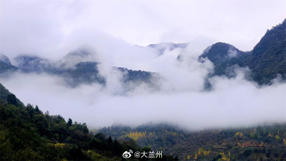 陇南徽县小众峡谷仙境【一山薄雾一江柔 徽县嘉陵峡谷藏岁月诗意】夏雨初歇，薄雾缠绕