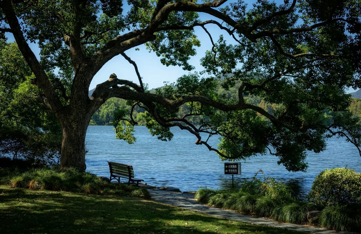 全国人民羡慕杭州人满城温柔氛围感直接拉满，随处可见治愈浪漫风景，烟火与诗意并存，