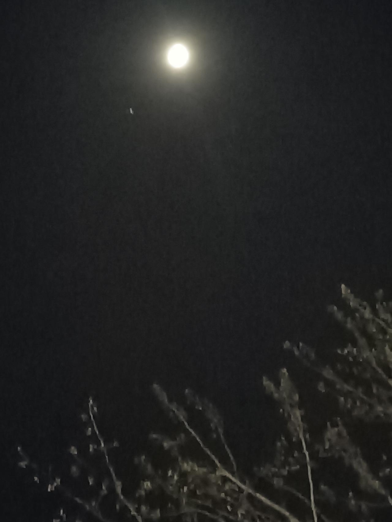 二月初八晚的月亮！（图片来源：老山兰水上公园随手拍）