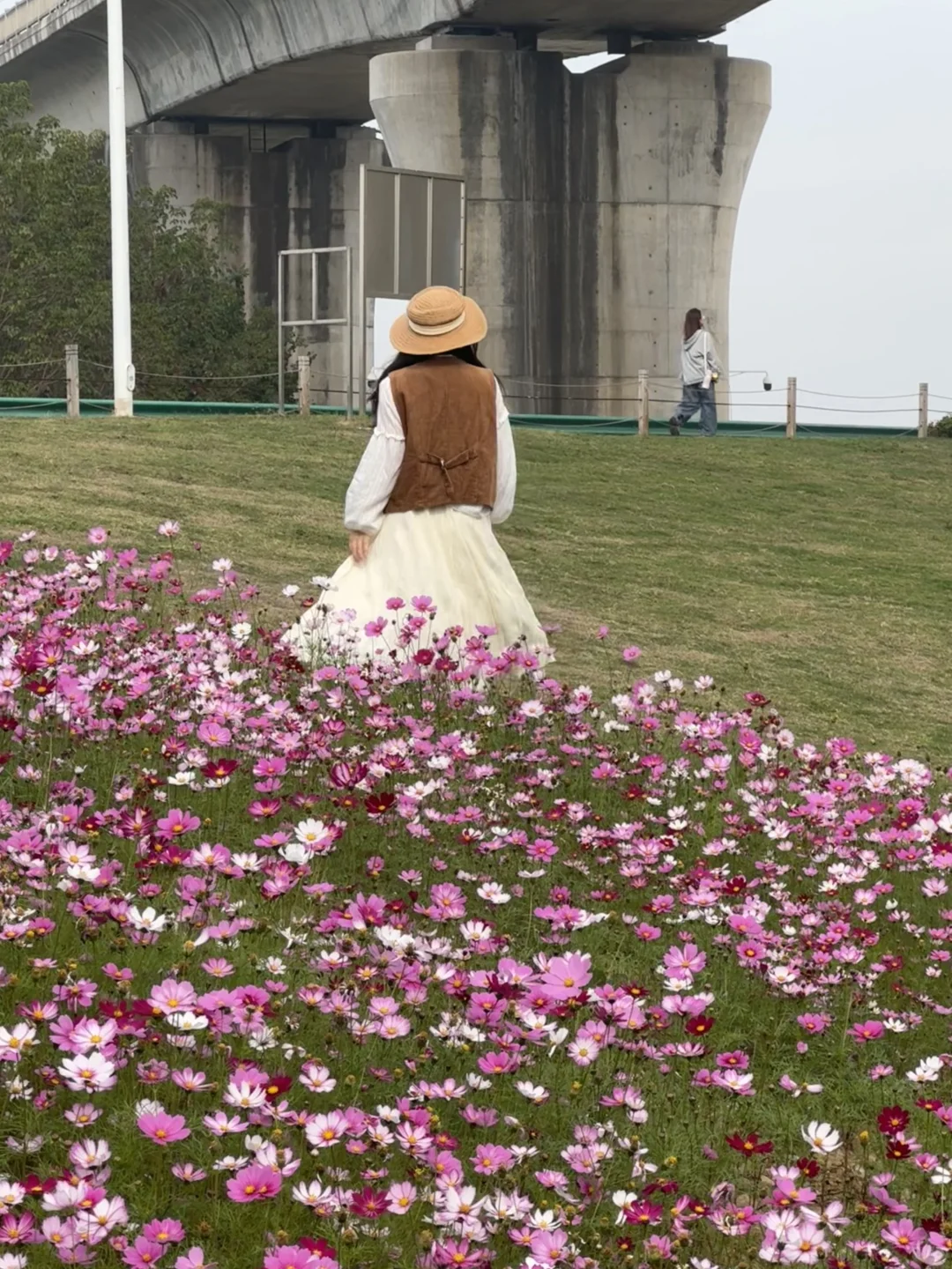 今日实拍❗️武汉免费花海💐500米花坡⛰️