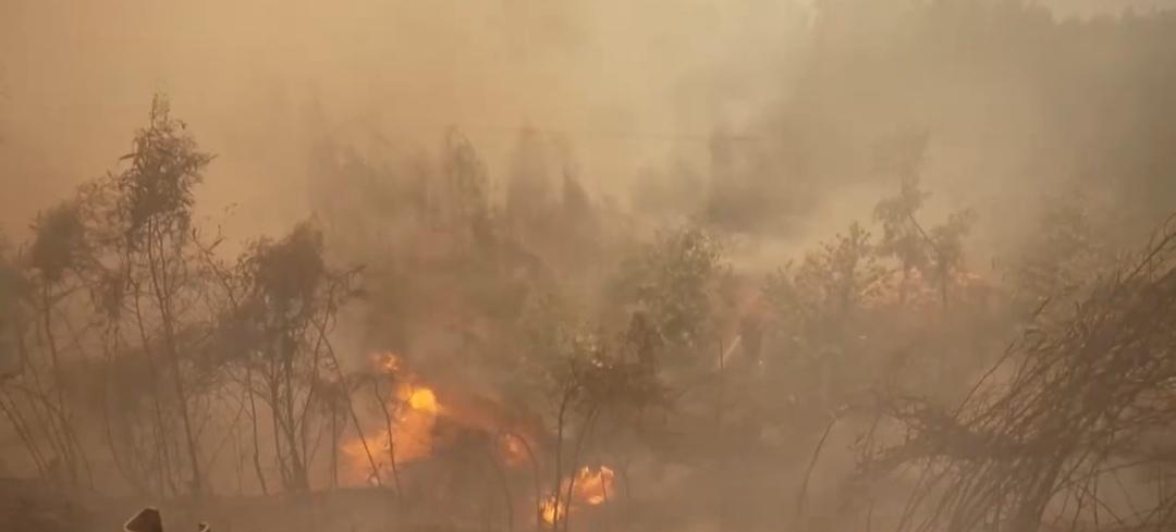 【过去几天，法国、西班牙、葡萄牙和希腊等国多地发生山火，导致数万人受影响的原因】